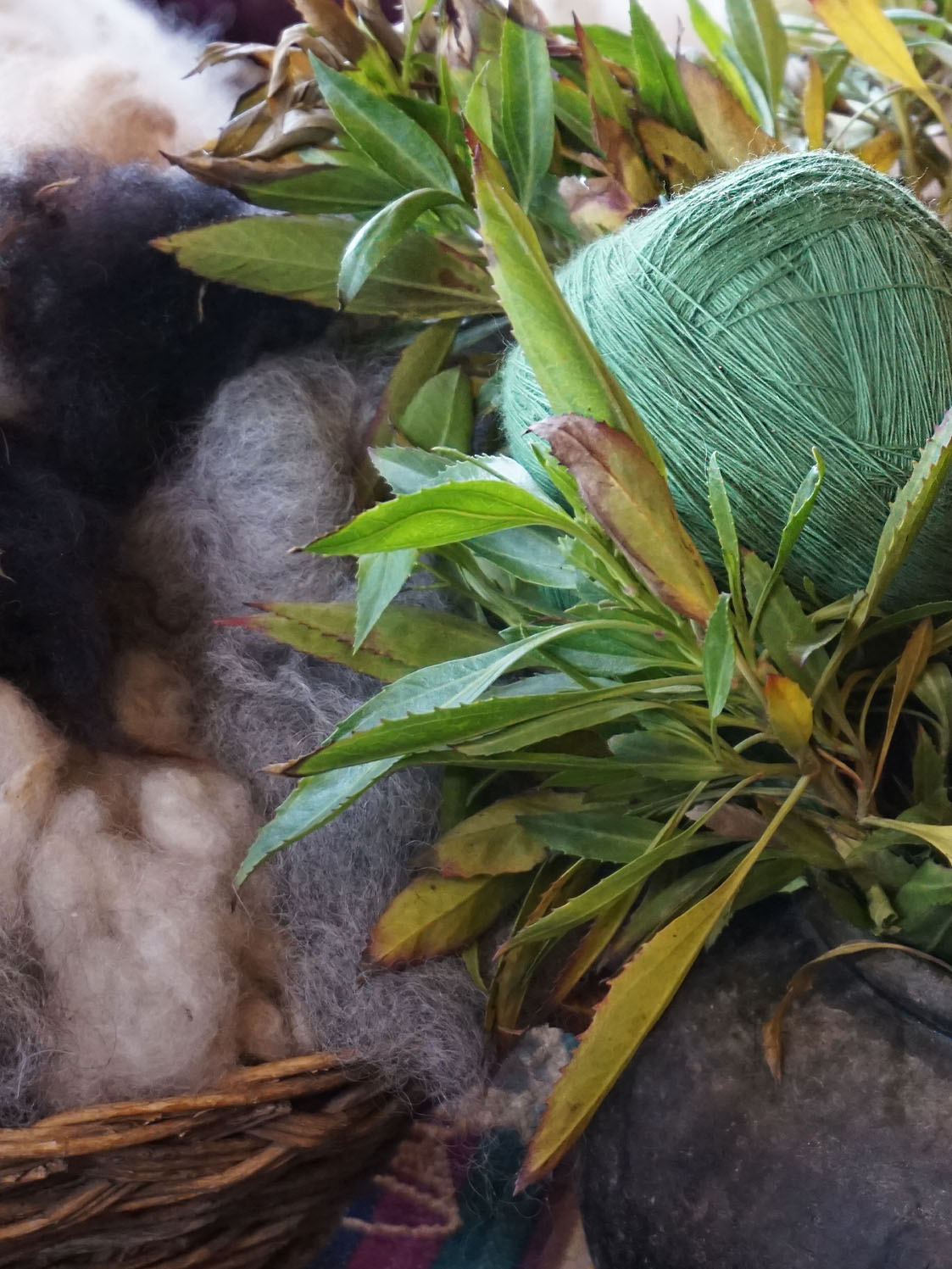 Green leaves for baby alpaca wool dye